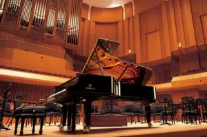 Yamaha YDP-165