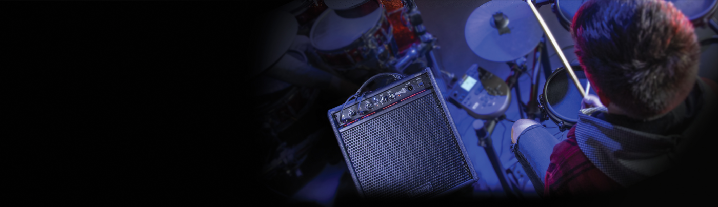 Laney DH80