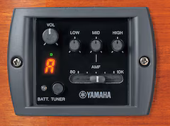 Yamaha APX600