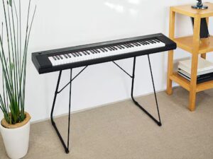 Yamaha NP-15