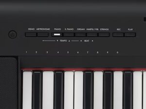 Yamaha NP-15