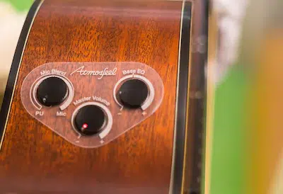 Yamaha FGX5