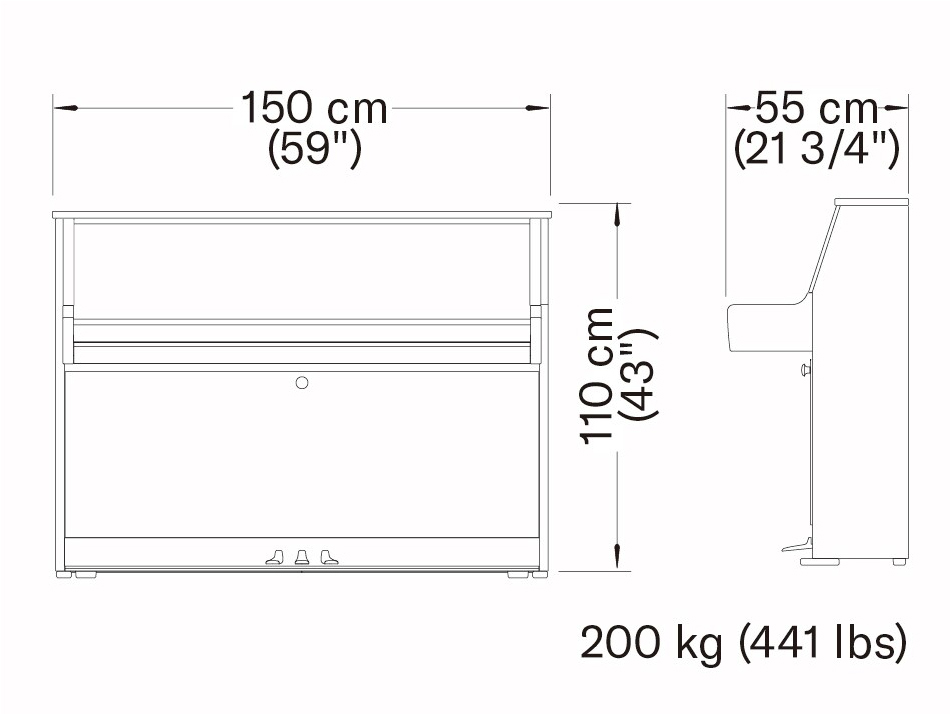 Technical drawing of a rectangular appliance with dimensions: 150 cm wide, 110 cm tall, 55 cm deep, weight 200 kg (441 lbs). Front and side views included.