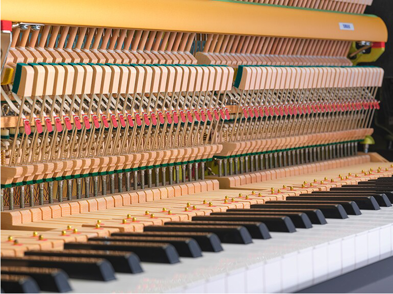 Close-up of a piano's internal action, showing hammers, strings, and the keyboard above them.